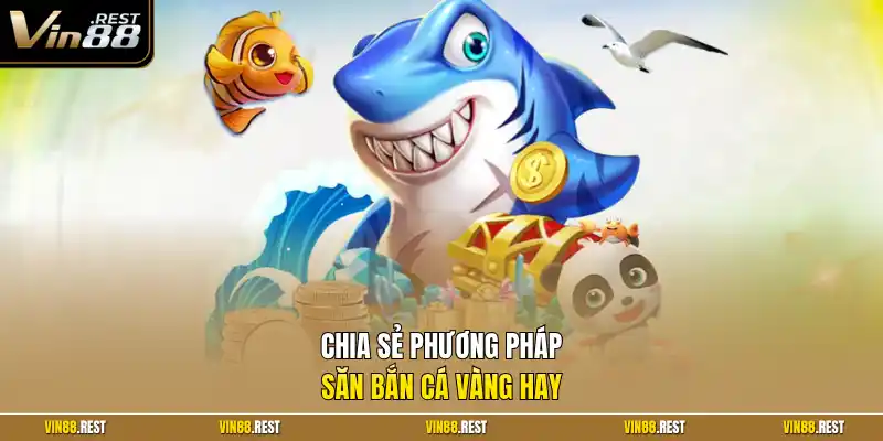 Chia sẻ phương pháp săn bắn cá vàng hay