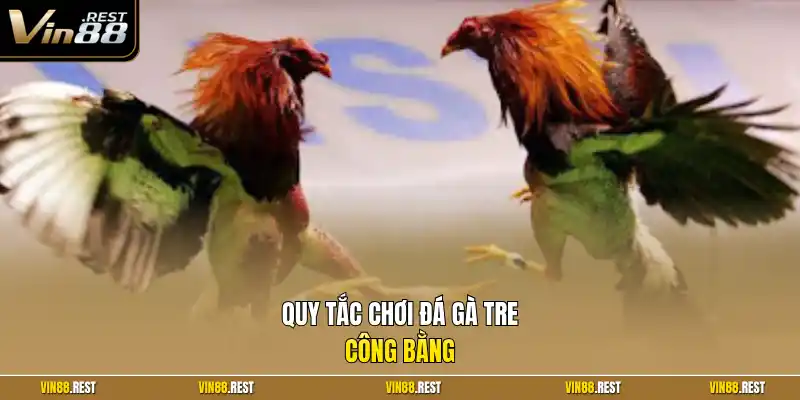 Quy tắc chơi đá gà tre công bằng
